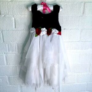 Biscotti Holiday Velvet Flower Tulle Wedding Flower Girl Dress sz 7